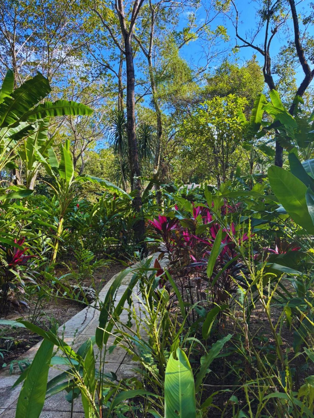 Hotel La Aldea Del Halach Huinic Palenque Exterior foto